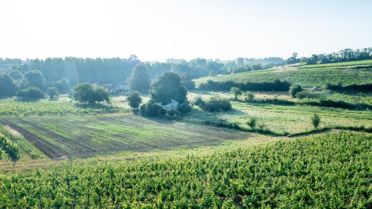 Suite campagnarde de 40 m2 avec vue sur les vignes au Château Camponac Bourg-sur-Gironde Exterior foto